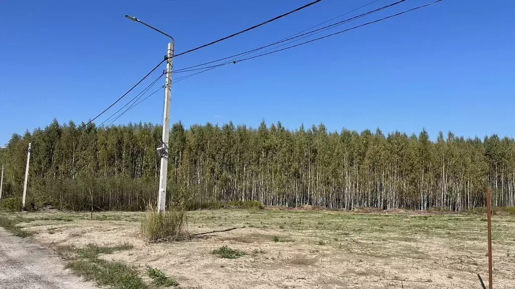 Участок в Нижегородская область, Кстовский муниципальный округ, с. ... - Фото 1