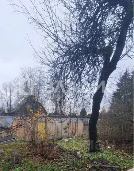 Участок в Ленинградская область, Всеволожский район, Юкковское с/пос, ... - Фото 2