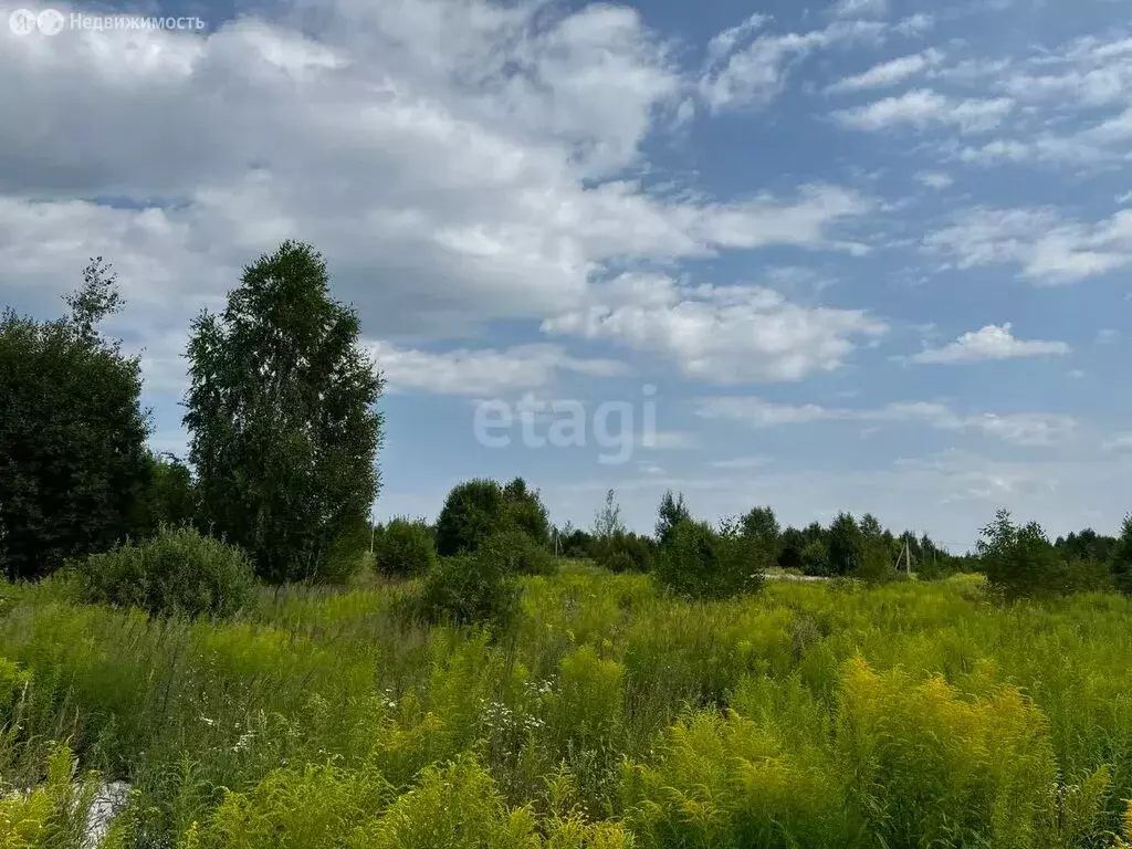 Участок в Нижегородская область, Городецкий муниципальный округ, ... - Фото 0