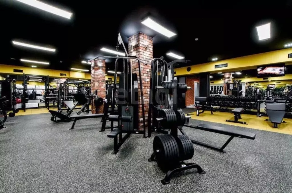 Помещение свободного назначения в Краснодарский край, Новороссийск ул. ... - Фото 2