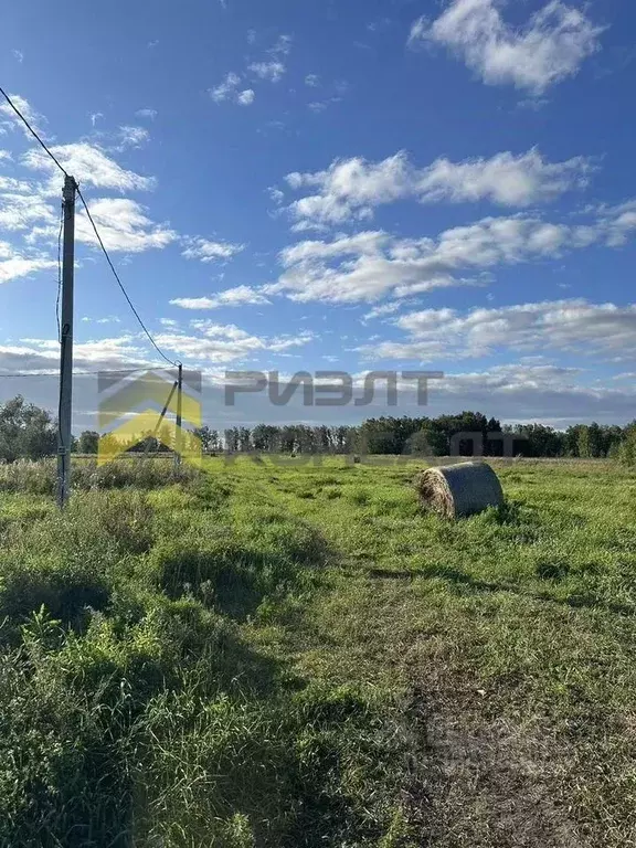 Участок в Омская область, Омский район, с. Розовка  (12.0 сот.) - Фото 1