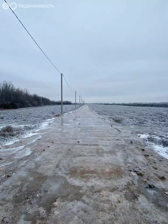 Участок в Мясниковский район, Краснокрымское сельское поселение, село ... - Фото 1