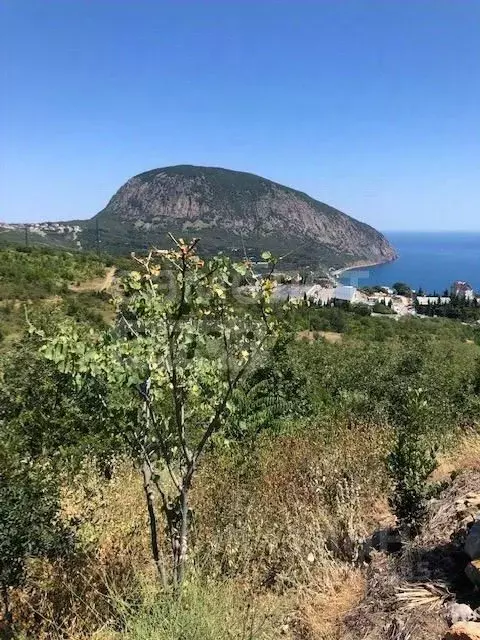 Участок в Крым, Ялта муниципальный округ, Гурзуф пгт ул. Ленинградская ... - Фото 1