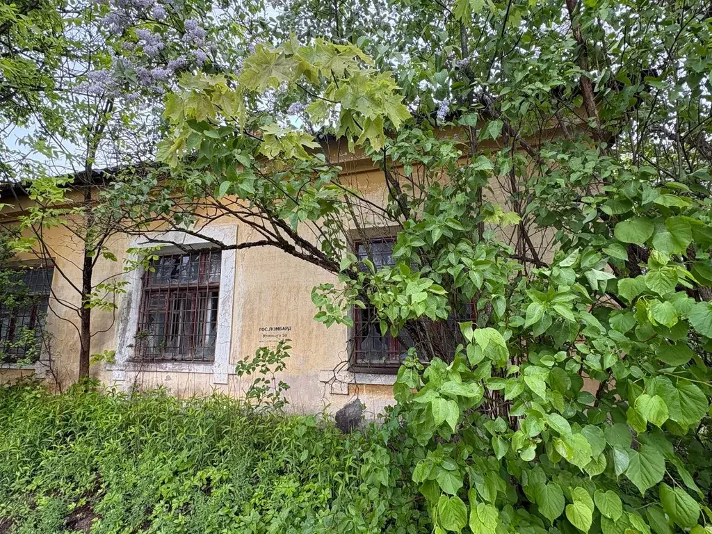 Помещение свободного назначения в Ленинградская область, Луга ул. ... - Фото 1
