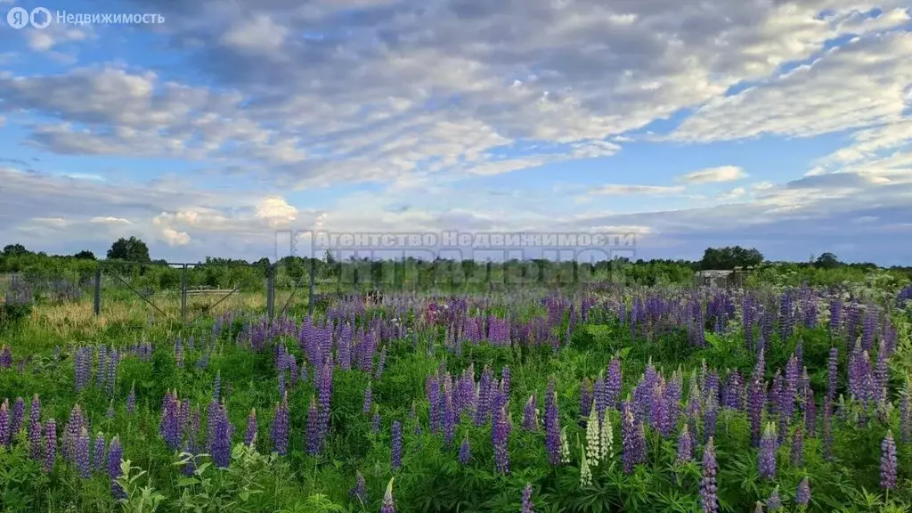 Участок в Смоленский муниципальный округ, деревня Вонлярово, 2-я Южная ... - Фото 1