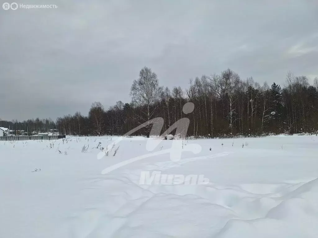 Участок в Московская область, городской округ Пушкинский, посёлок ... - Фото 2