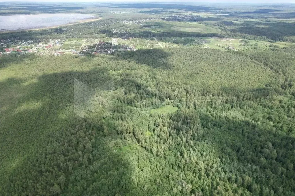 Участок в Тюменская область, Нижнетавдинский муниципальный округ, ... - Фото 1