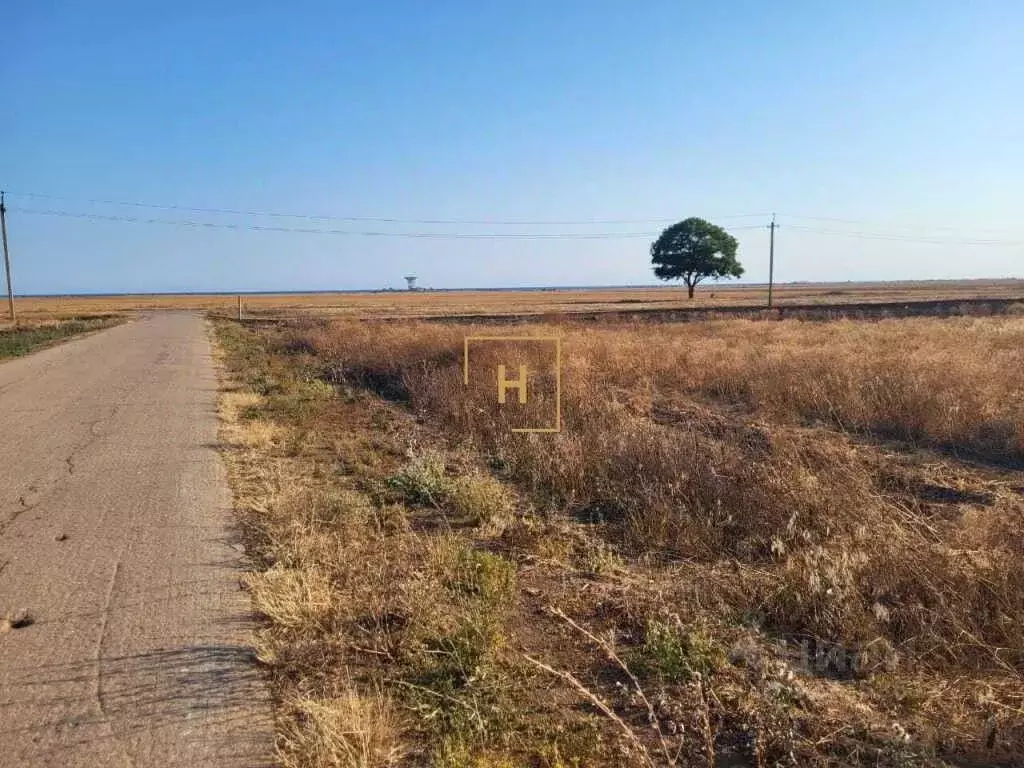 Участок в Крым, Сакский район, с. Молочное  (400.0 сот.) - Фото 1