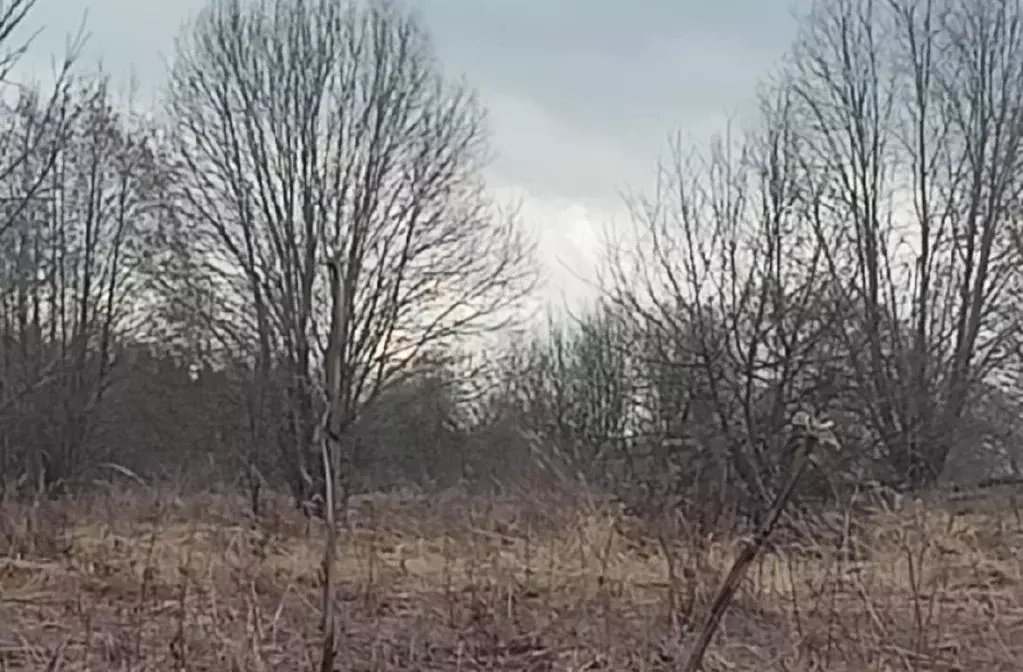 Участок в Московская область, Дмитровский городской округ, д. Шабаново ... - Фото 0