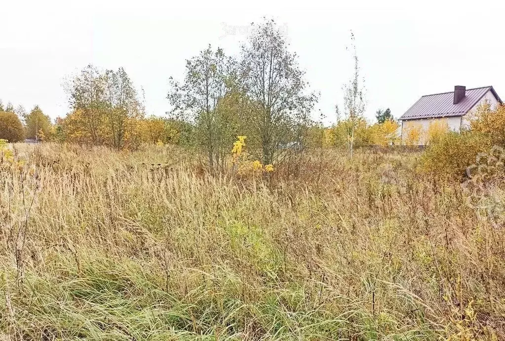 Участок в Московская область, Истра городской округ, д. Юрьево  (6.0 ... - Фото 1