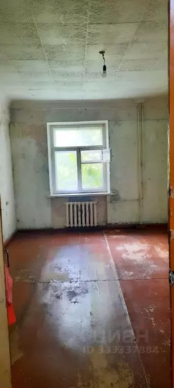 Комната Пермский край, Пермь ул. Александра Невского, 24 (21.5 м) - Фото 2