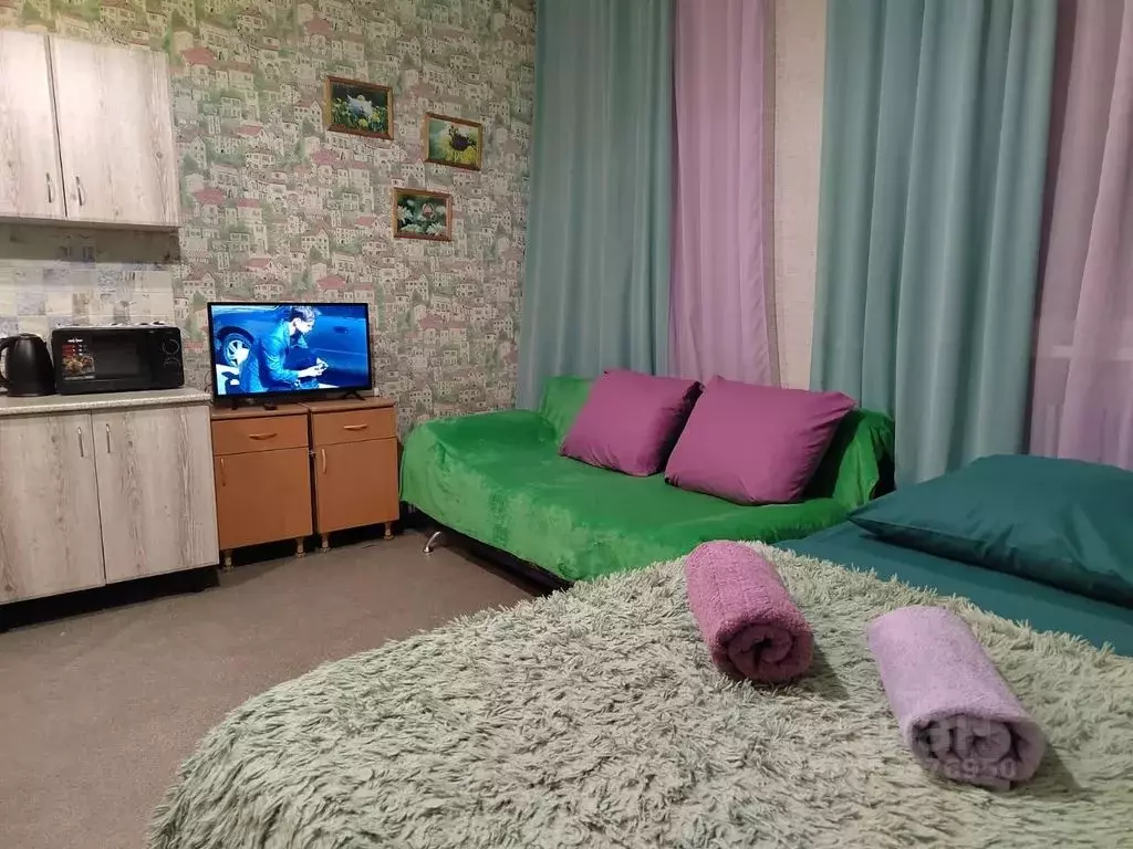 Студия Омская область, Омск просп. Мира, 9/2 (26.0 м) - Фото 2