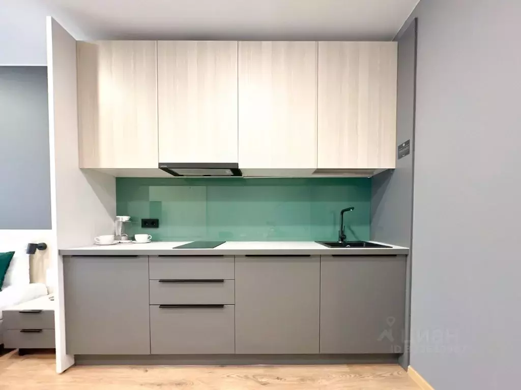 Студия Санкт-Петербург Киевская ул., 5к6 (29.0 м) - Фото 2