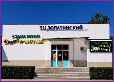 Торговая площадь в Московская область, Воскресенск Лопатинский мкр, ... - Фото 2