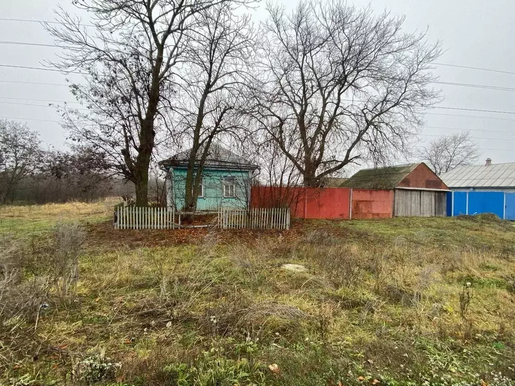 Дом в Воронежская область, Новохоперск городское поселение, с. ... - Фото 1