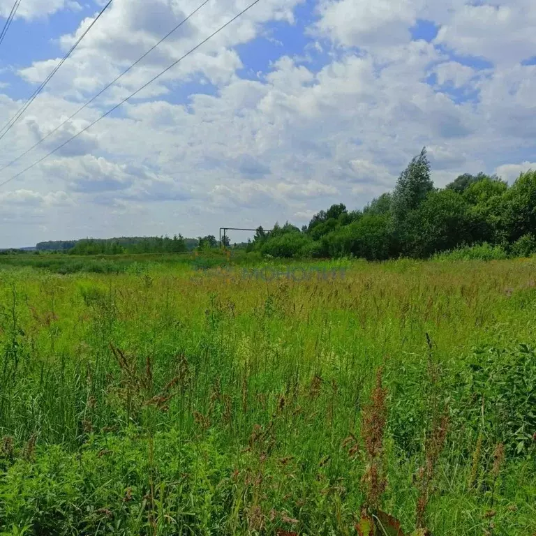 Участок в Нижегородская область, Богородский муниципальный округ, д. ... - Фото 2
