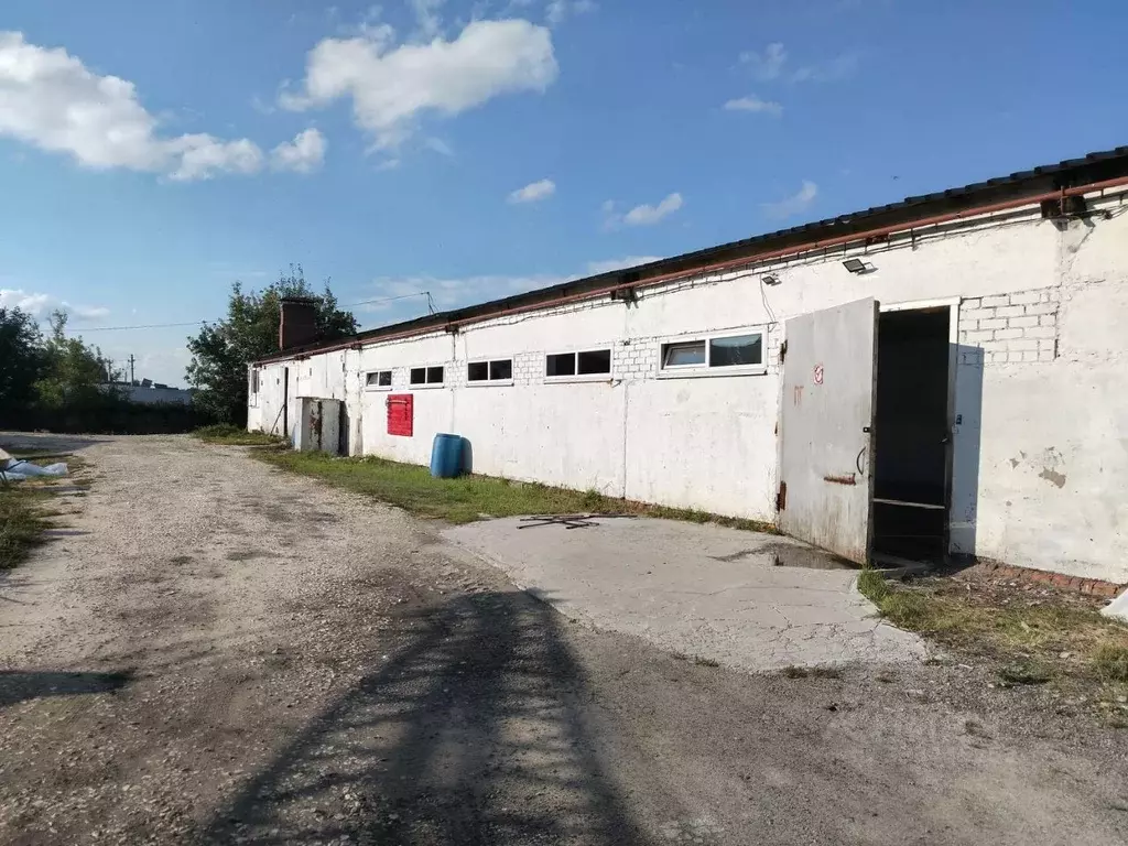 Помещение свободного назначения в Рязанская область, Рыбновский ... - Фото 2