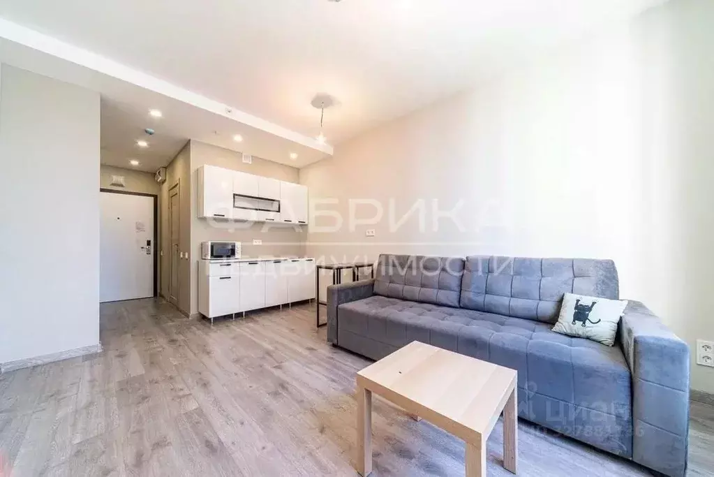 Студия Санкт-Петербург Витебский просп., 99к1 (25.2 м) - Фото 1