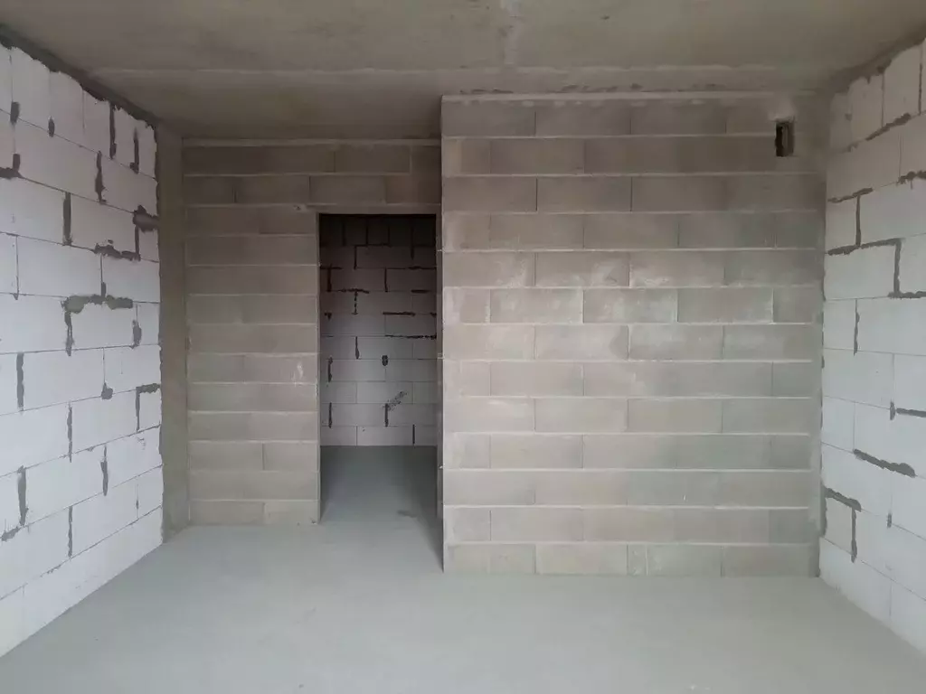 Студия Санкт-Петербург пос. Шушары, Московское ш., 262к4 (25.0 м) - Фото 2