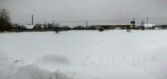 Участок в Московская область, Коломна городской округ, пос. ... - Фото 1