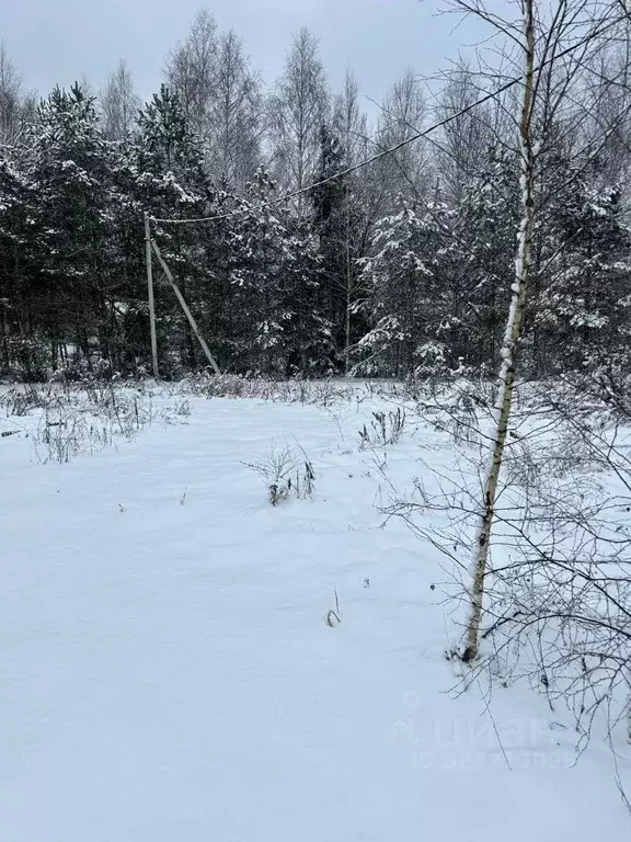 Участок в Московская область, Чехов муниципальный округ, д. Сидориха  ... - Фото 1
