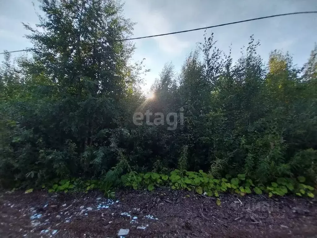 Участок в Архангельская область, Архангельск пос. Цигломень, ул. ... - Фото 0