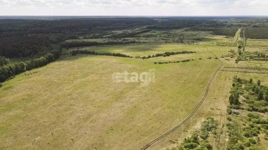 Участок в Свердловская область, Слободо-Туринский район, ... - Фото 0