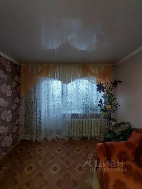 3-к кв. Алтайский край, Рубцовск Красная ул., 91 (56.1 м) - Фото 2