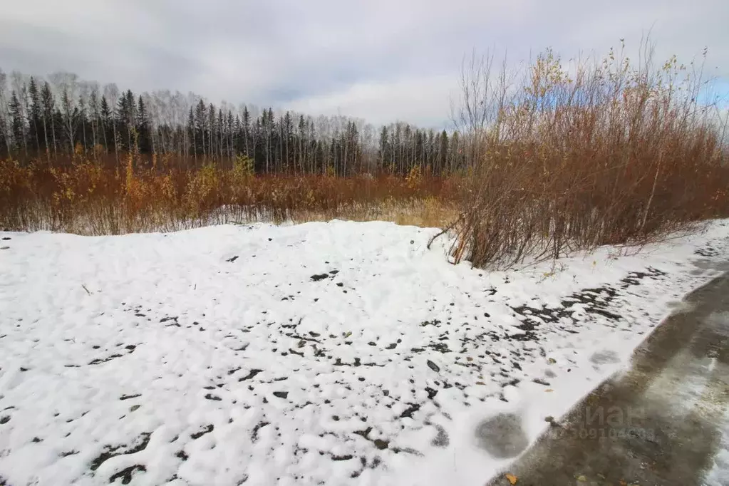 Участок в Свердловская область, Горноуральский городской округ, с. ... - Фото 0