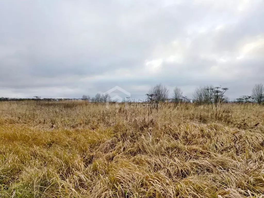 Участок в Ленинградская область, Ломоносовский район, Ропшинское ... - Фото 2