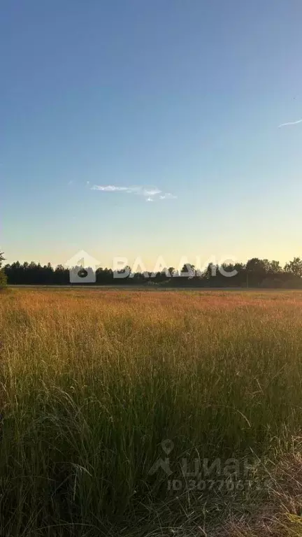 Участок в Вологодская область, д. Стризнево (Сосновский сельсовет)  ... - Фото 1