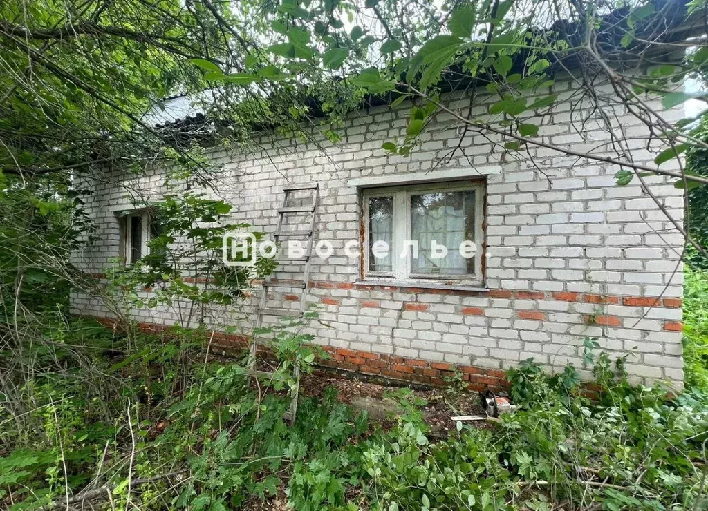 Участок в Рязанская область, Рязанский муниципальный округ, д. ... - Фото 2