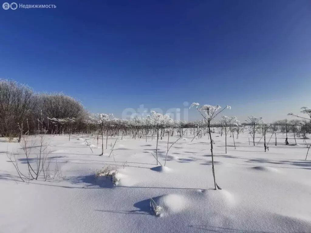 Участок в Республика Коми, муниципальный район Сыктывдинский, ... - Фото 1