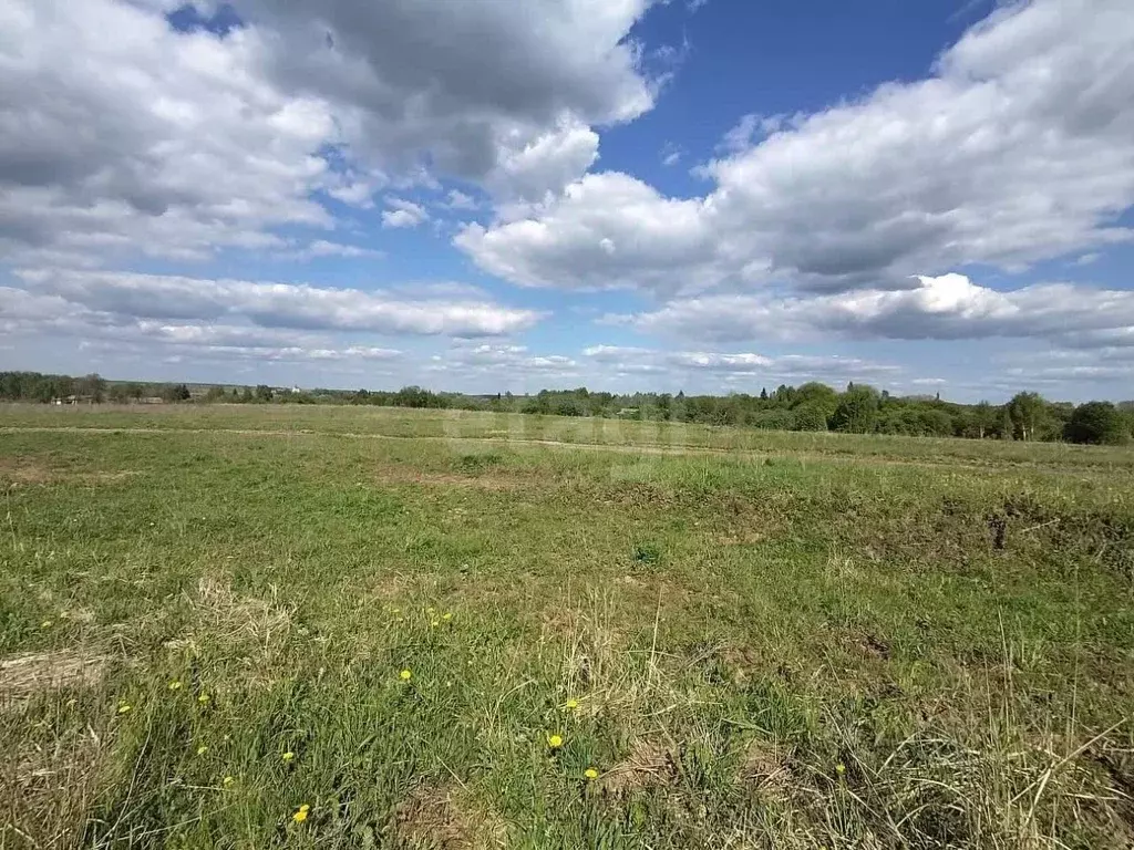 Участок в Калужская область, Дзержинский район, Совхоз Чкаловский ... - Фото 2