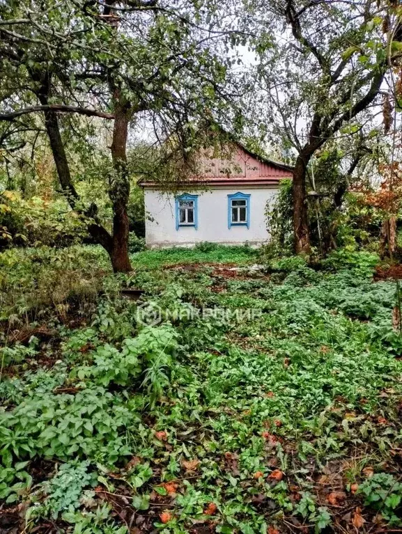 Дом в Орловская область, Орловский район, с. Большая Куликовка Садовая ... - Фото 1