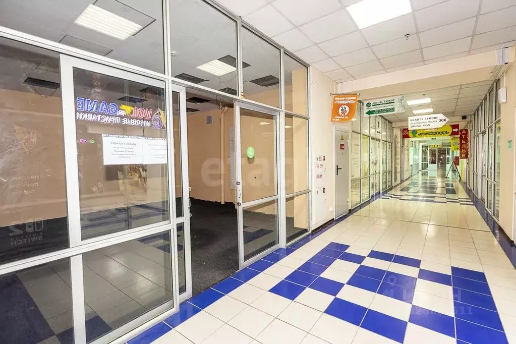 Торговая площадь в Амурская область, Благовещенск ул. 50 лет Октября, ... - Фото 1