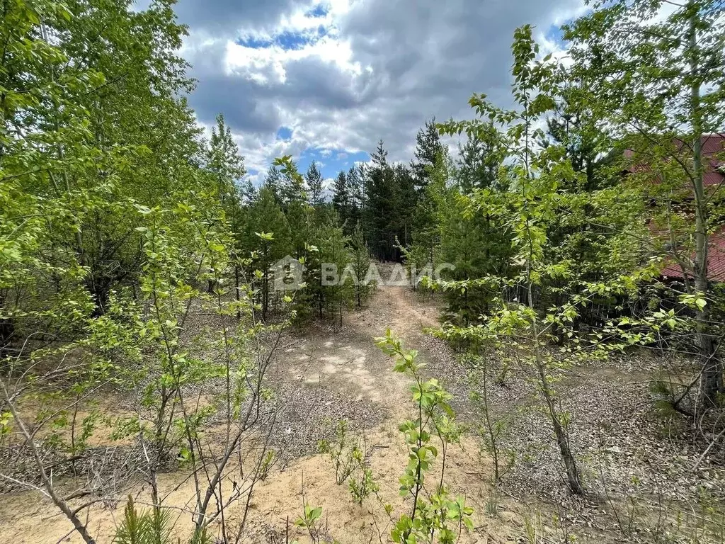Участок в Бурятия, Улан-Удэ Тепличный мкр, 22-й кв-л, 3 (12.0 сот.) - Фото 1
