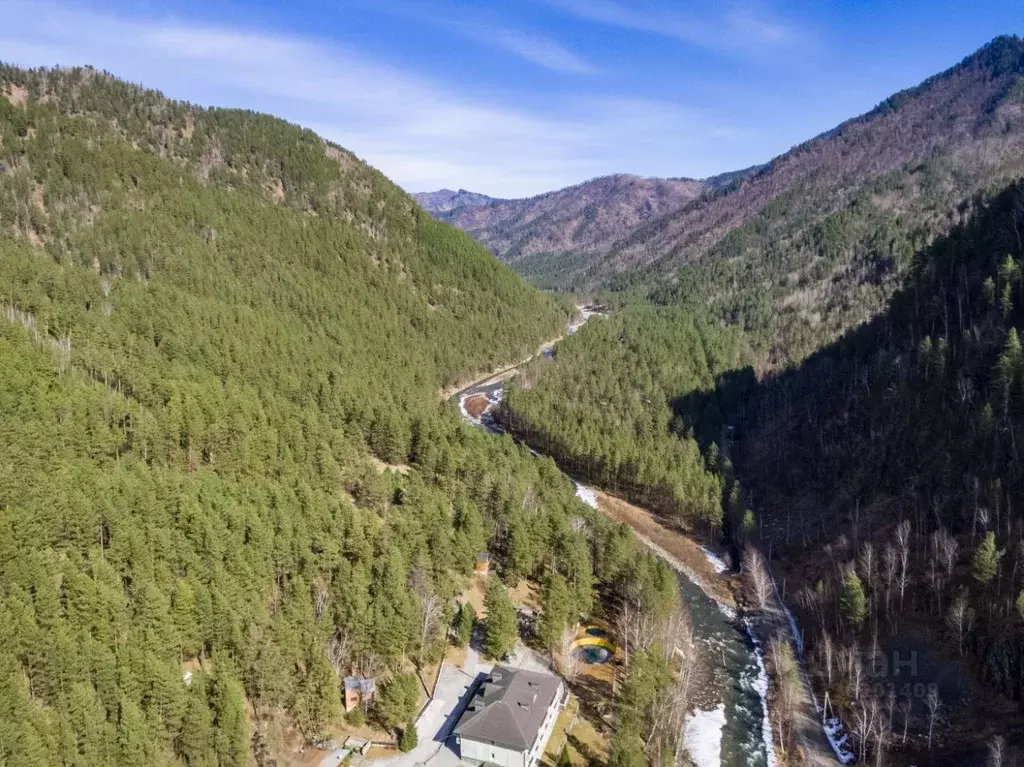Участок в Алтай, Чемальский район, Ареда урочище  (1.47 га.) - Фото 2