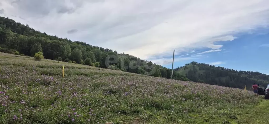 Участок в Алтай, Майминский район, с. Бирюля ул. Светлая, 29 (10.0 ... - Фото 1