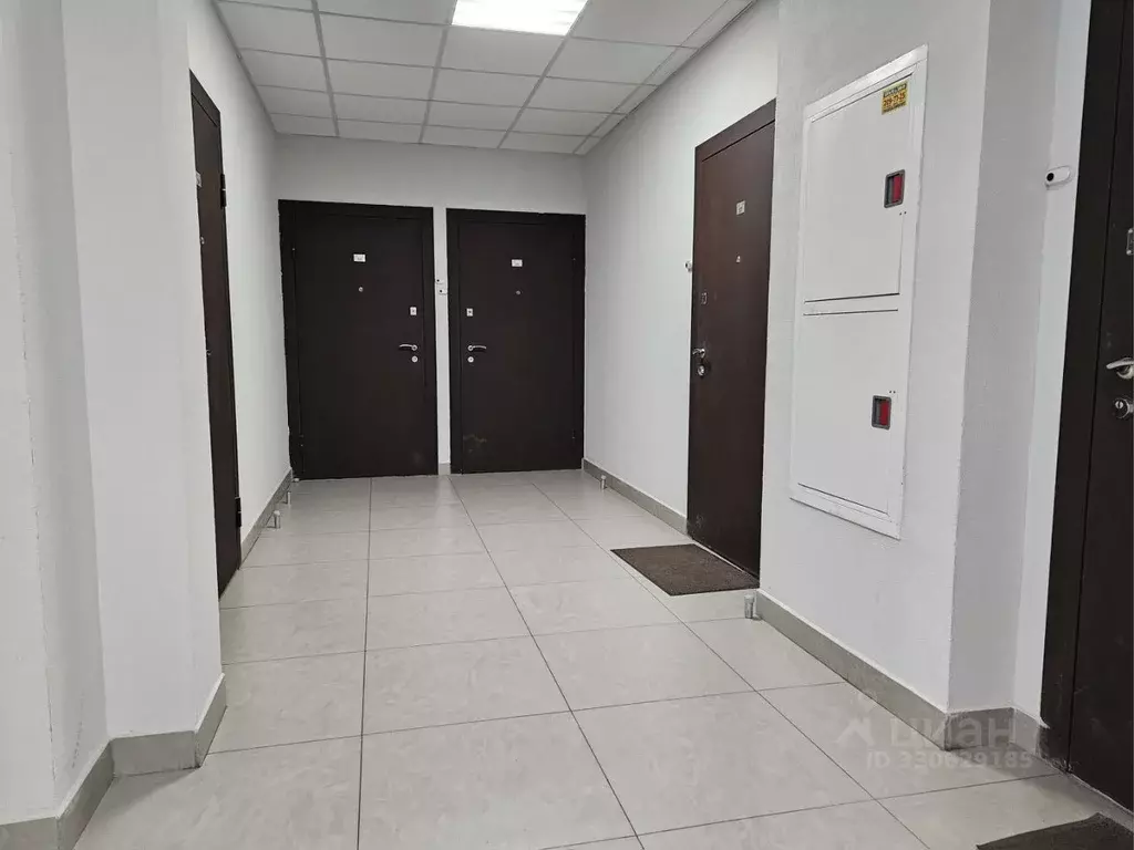 Студия Санкт-Петербург Комендантский просп., 66к5 (24.4 м) - Фото 2