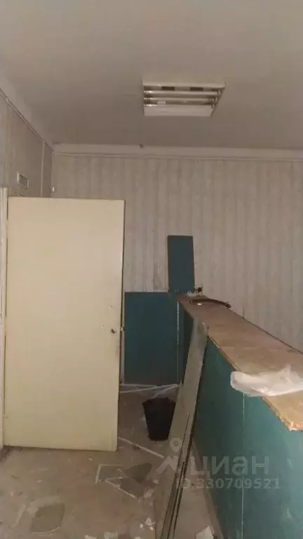 Помещение свободного назначения в Мордовия, Рузаевка ул. ... - Фото 1