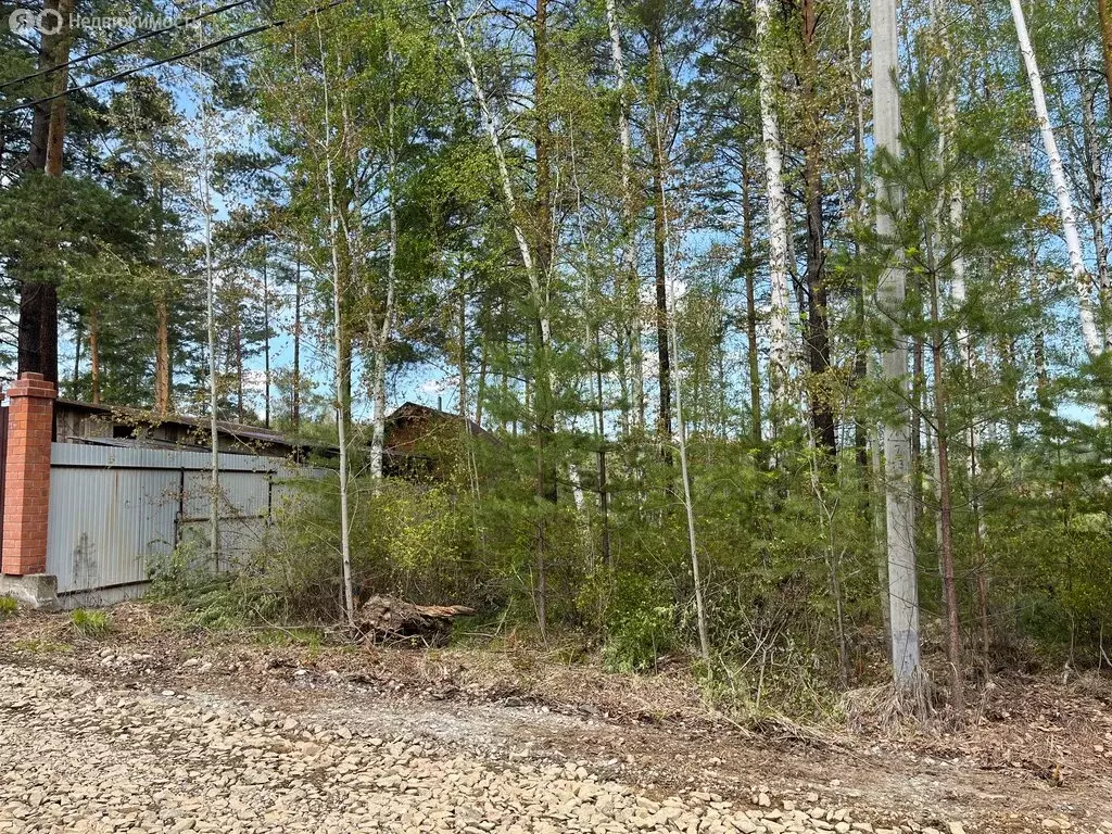 Участок в Иркутский муниципальный округ, СК Зелёный Берег, 87 (19 м) - Фото 2