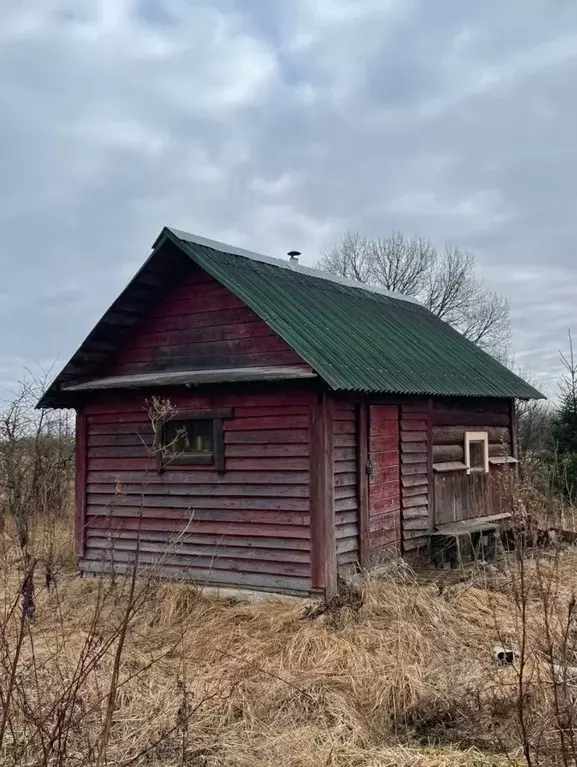 Участок в Новгородская область, Новгородский район, Борковское с/пос, ... - Фото 0