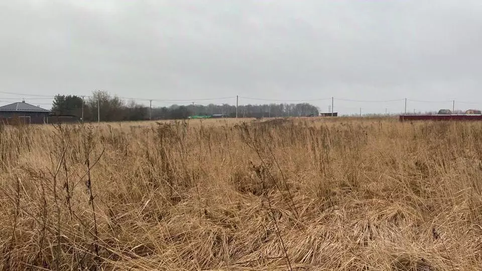 Участок в Московская область, Кашира городской округ, д. Тарасково ... - Фото 0