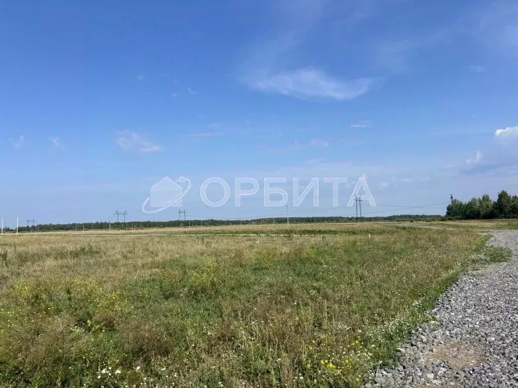 Участок в Тюменская область, Тюменский район, с. Щербак  (5.0 сот.) - Фото 2