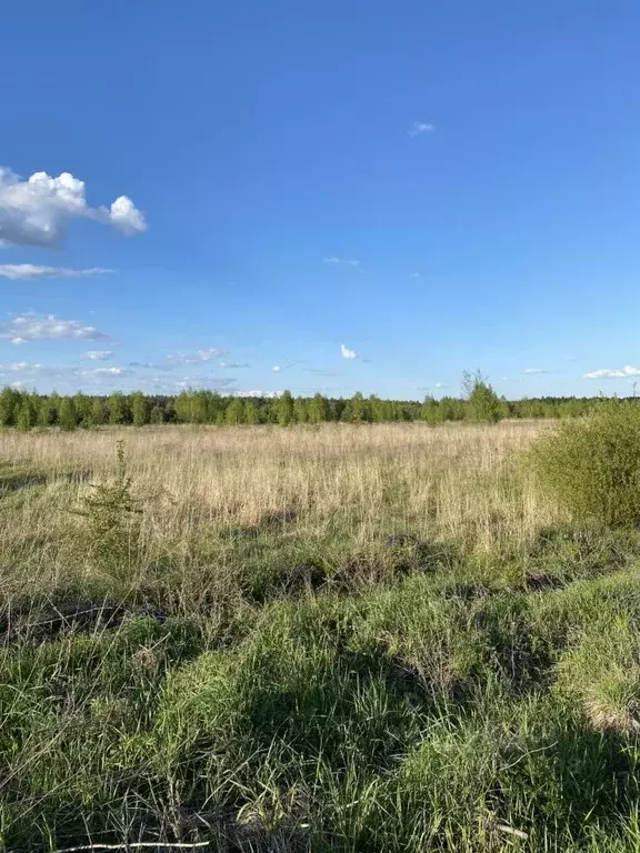 Участок в Нижегородская область, Бор Микрорайон Шерстнево Поле,  (8.0 ... - Фото 1