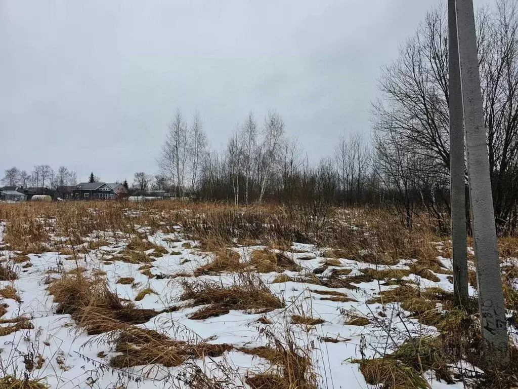 Участок в Московская область, Орехово-Зуевский городской округ, д. ... - Фото 0