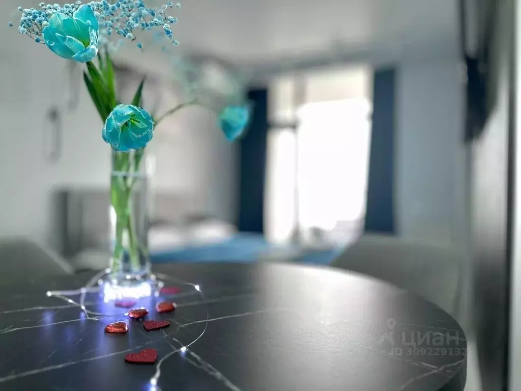 Студия Крым, Алушта ул. Западная, 4к3 (29.0 м) - Фото 2