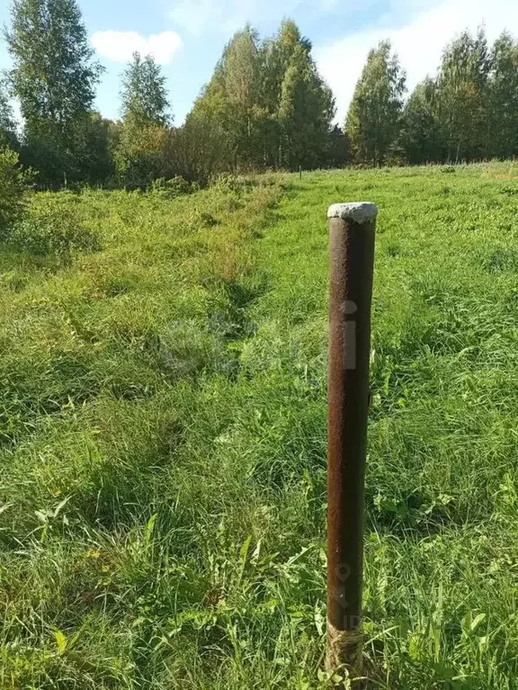 Участок в Псковская область, Печорский муниципальный округ, д. Кулиско ... - Фото 1