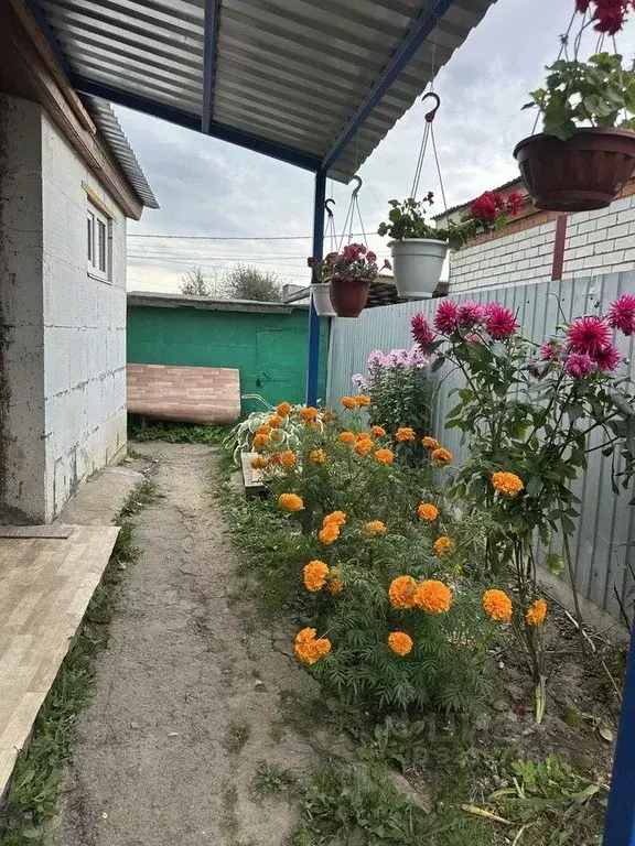 1-к кв. Чувашия, Чебоксары ул. Бродского, 13 (40.0 м) - Фото 1